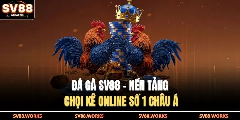 Đá gà SV88 - Nền tảng chọi kê online số 1 châu Á