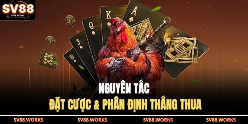 Đá Gà C1 | Điểm Hẹn Của Các Chiến Kê Hàng Đầu 2026 4 Nguyên tắc đặt cược & phân định thắng thua