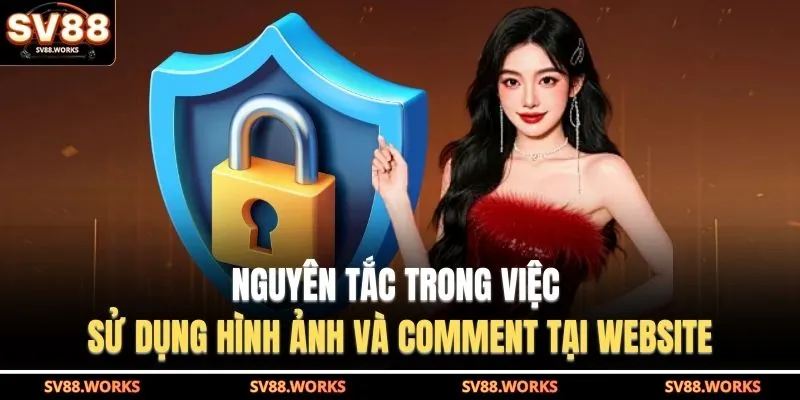 Chính Sách Bảo Mật 3 Nguyên tắc trong việc sử dụng hình ảnh và comment tại website