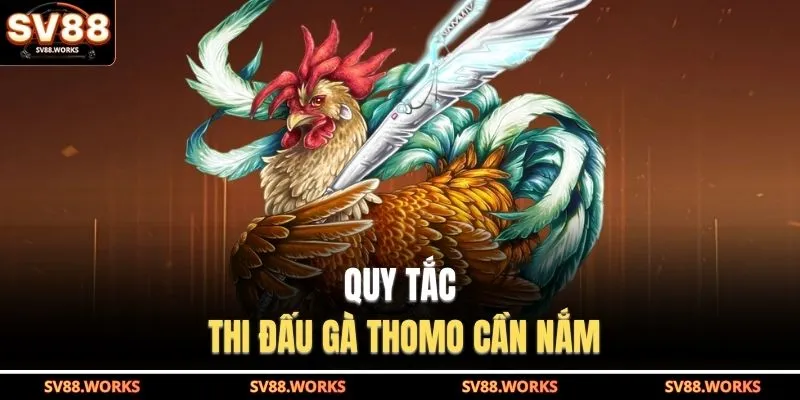 Đá Gà Thomo Ở SV88 - Tận Hưởng Trọn Vẹn Giây Phút Kịch Tính 4 Quy tắc thi đấu gà Thomo cần nắm