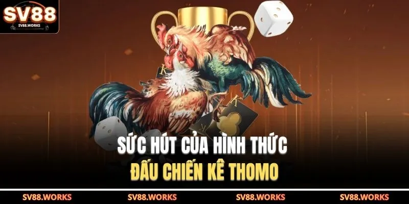 Đá Gà Thomo Ở SV88 - Tận Hưởng Trọn Vẹn Giây Phút Kịch Tính 3 Sức hút của hình thức đấu chiến kê Thomo